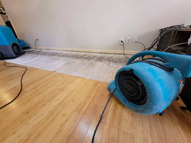Professional Water Removal technician working in Collinsville, TX